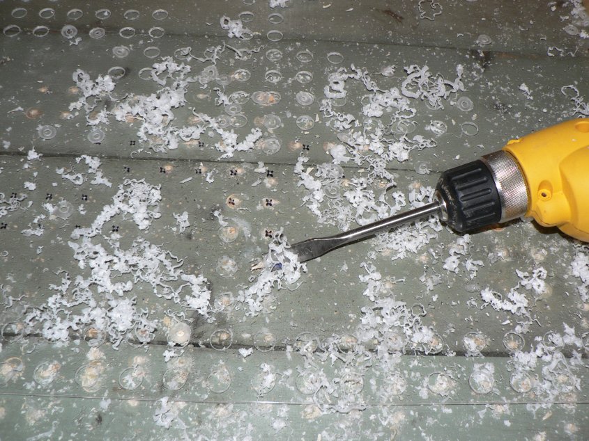 Synchronized Christmas Lights